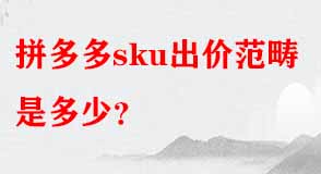 拼多多代運(yùn)營(yíng)