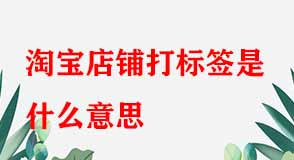 淘寶店鋪標(biāo)簽